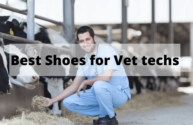 Best Shoes for Vet Techs [2024 Reviewed] – 7 Top Footwear for Veterinary Work