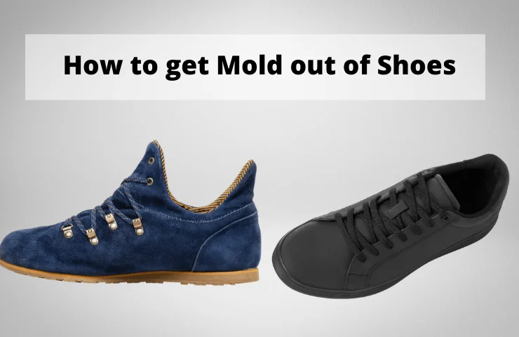 How to Get Mold out of Shoes – Remove Mildews from Leather & Suede