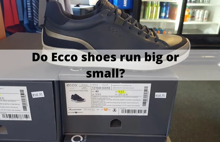 ecco shoes fit