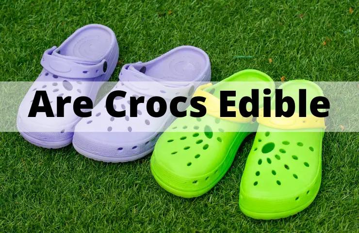 Are Crocs Edible? (Can You Eat Them Safely) | WearDuke