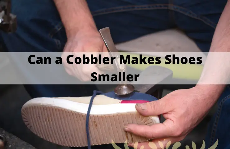 Can a Cobbler Make Shoes Smaller? (Explore and Learn!)