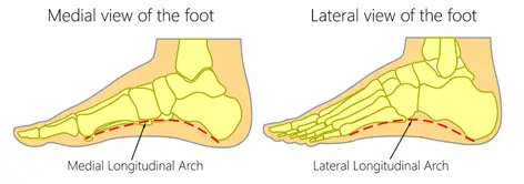 foot arch structure